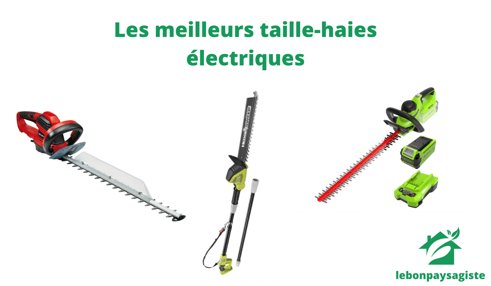 Taille Haie Electrique Ou Thermique