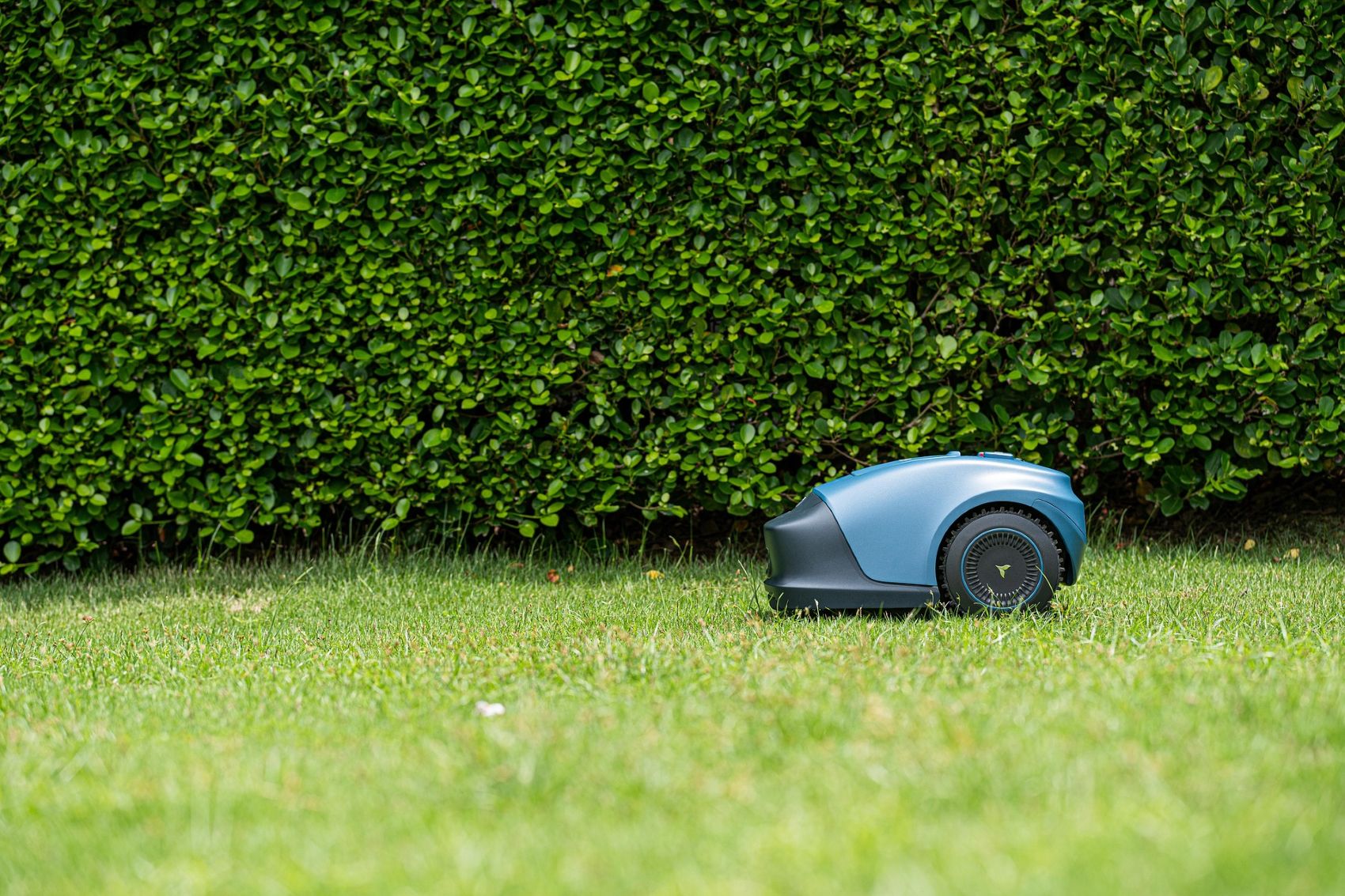 comparatif tondeuses robot