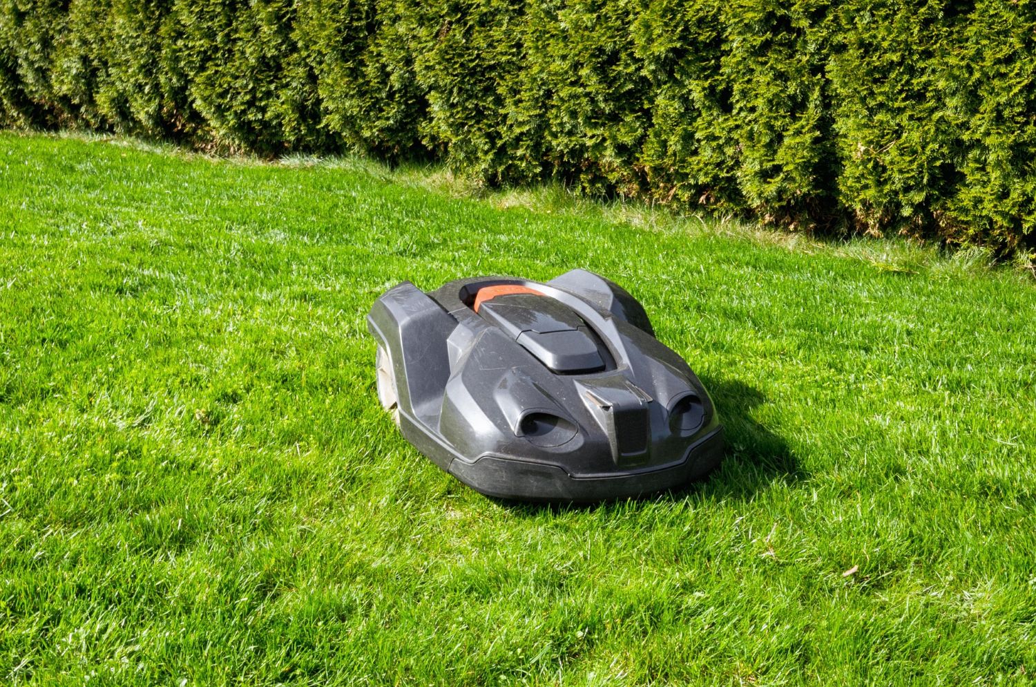 installation tondeuse robot